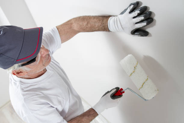 Best Mold Remediation for Healthcare Facilities  in Terville, WA