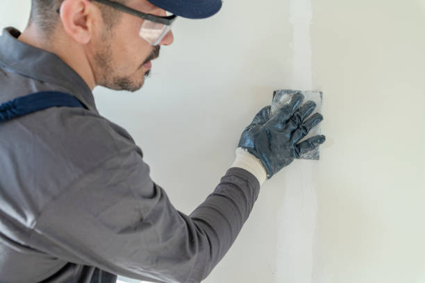 Best Comprehensive Air Testing for Mold Contaminants  in Terville, WA