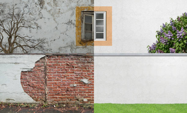 Trusted Waterville, WA Mold Removal Experts
