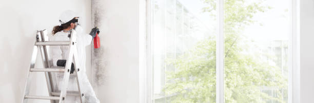 Best Post-Construction Mold Inspection  in Terville, WA