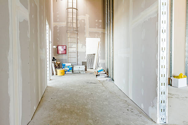 Best Dehumidification Services  in Terville, WA