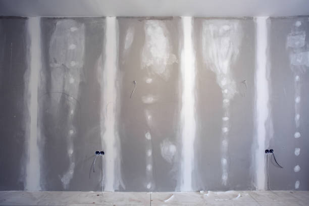 Best Attic Mold Removal  in Terville, WA